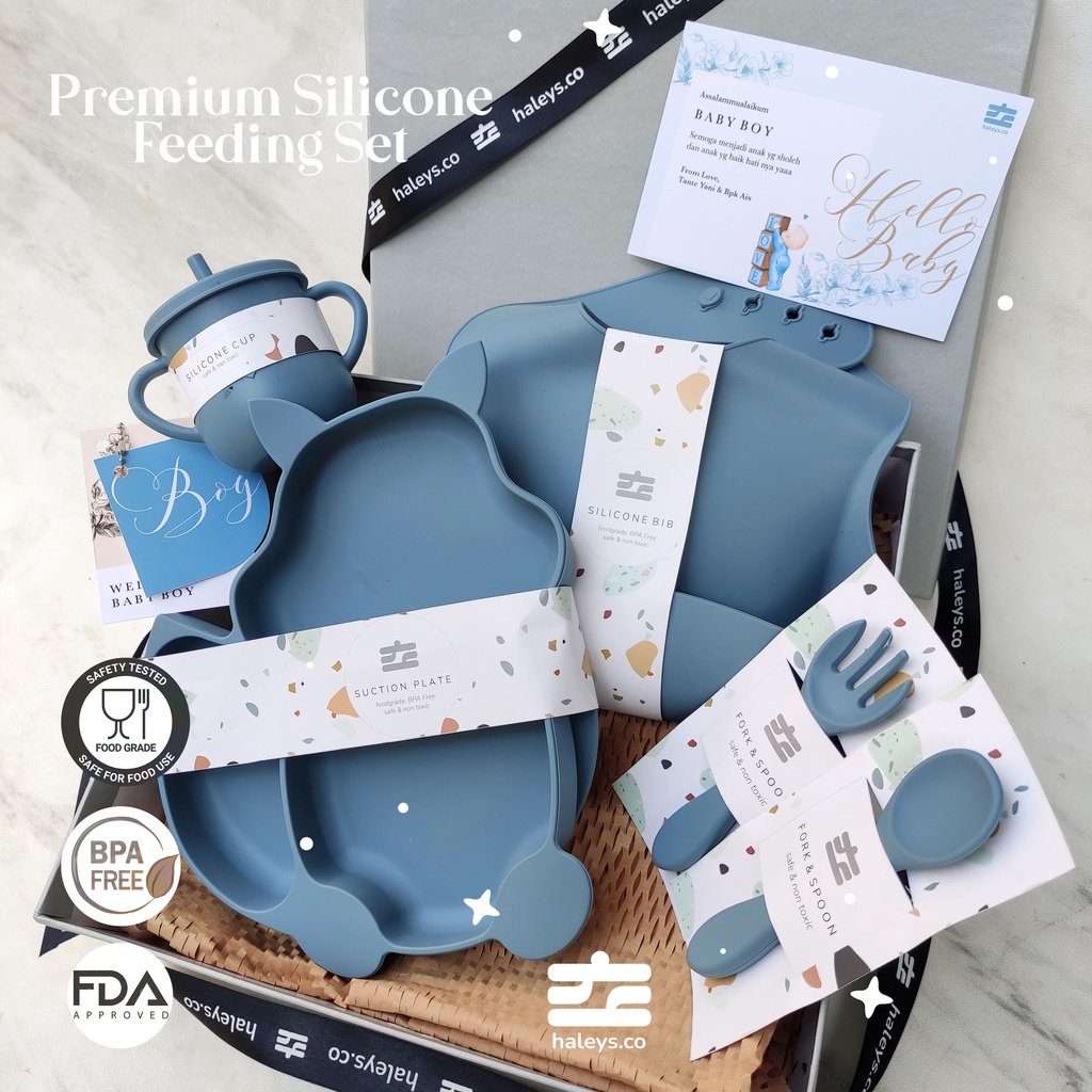 Fox Blue Feeding Set / 6 - 24 Month