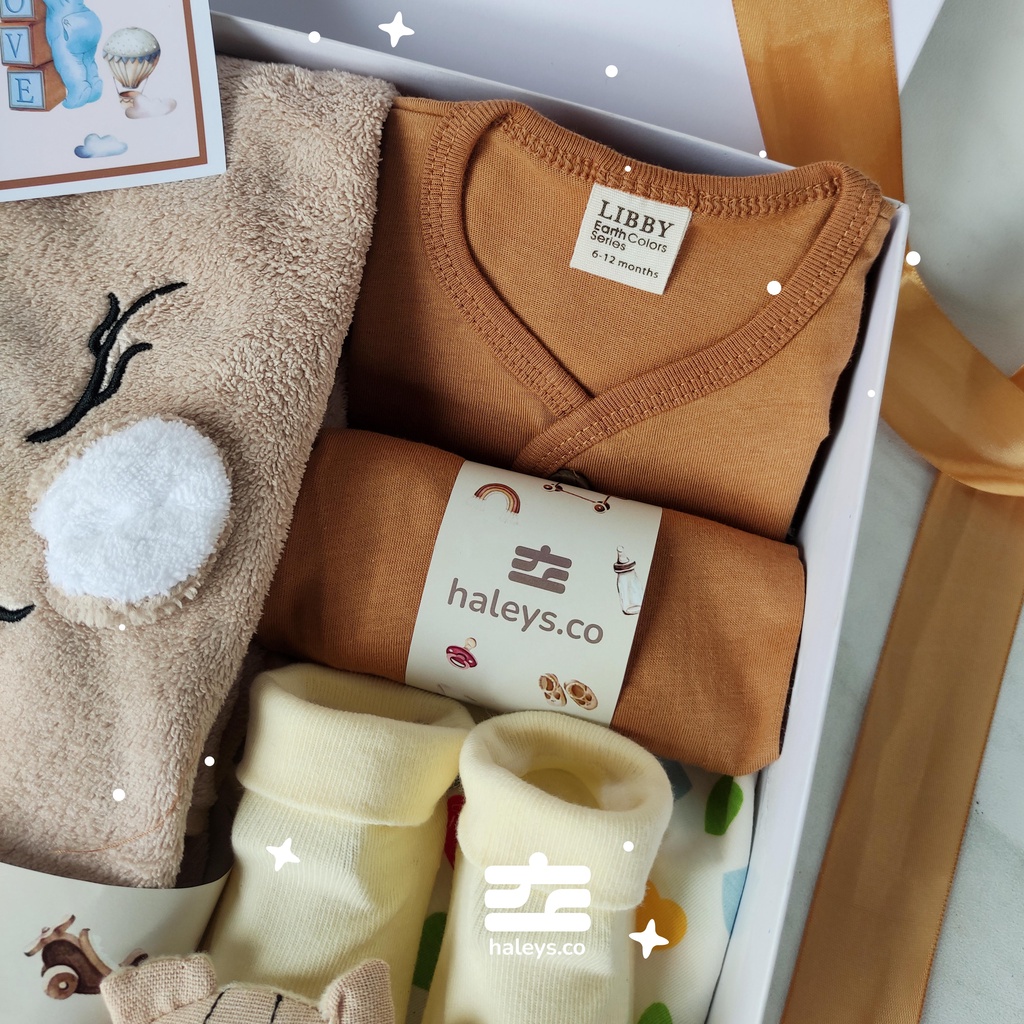 Baby Care Set Ginger (Boy) 0 - 12 Month