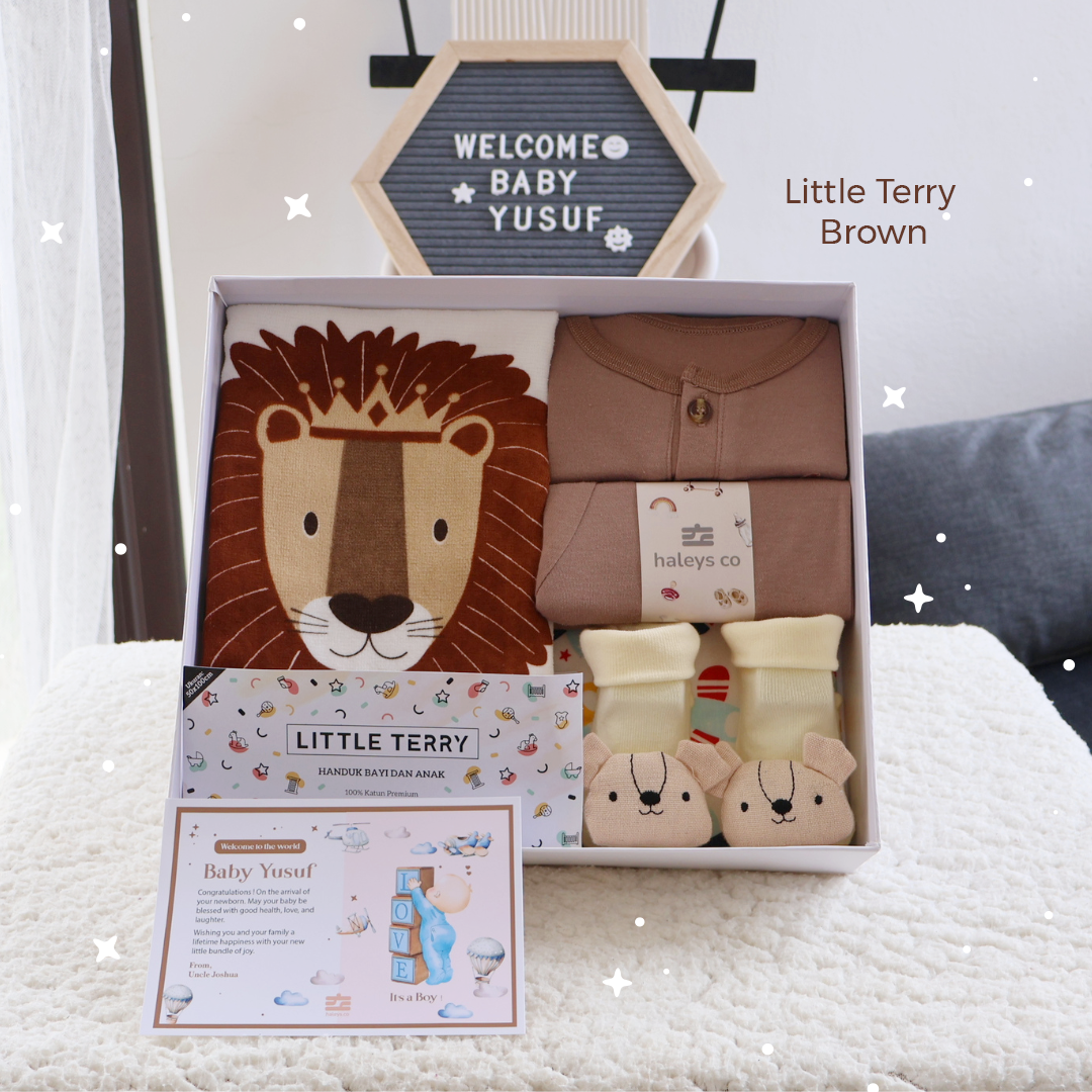 Little Terry Brown Set ( Boy ) / 0 - 12