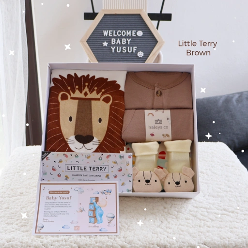Image of Little Terry Brown Set ( Boy ) / 0 - 12