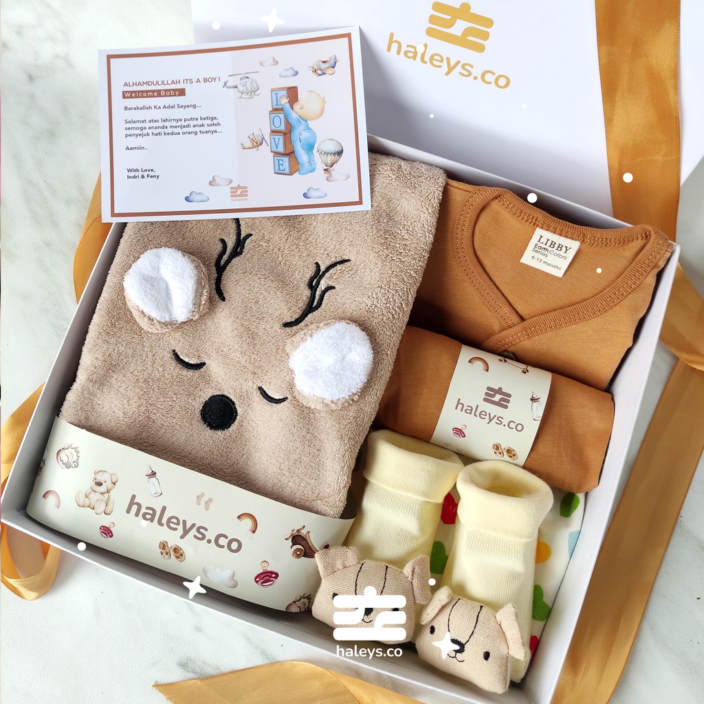 Baby Care Set Ginger (Boy) 0 - 12 Month
