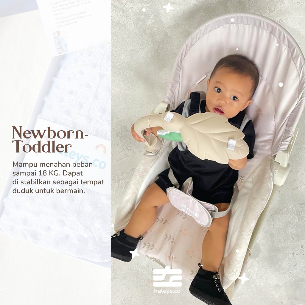 Baby Bouncer Hampers Premium