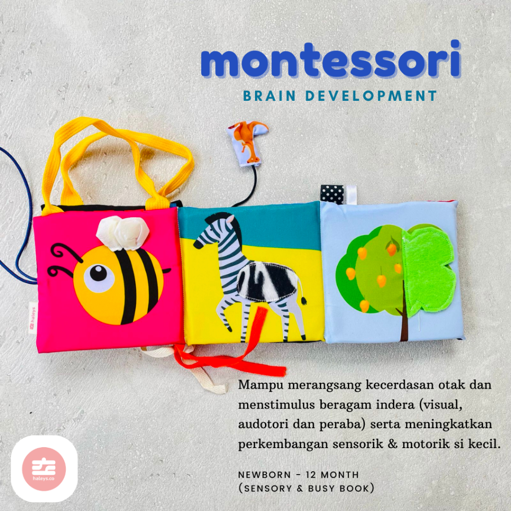 Montessori Sensory Books