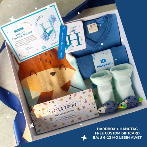 Image of Haleys.co Hampers Premium | Varian Piyama Handuk + Selimut Package |  Piyama Baby Boy/Girl 0-12 Bulan + Handuk Premium / Selimut Premium | 6 in 1 | 7 in 1 