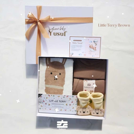 Little Terry Brown Set ( Boy ) / 0 - 12
