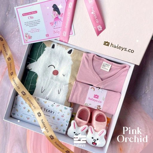 Image of Haleys.co Hampers Premium | Little Terry Package | Piyama Baby Girl 0-12 Bulan + Handuk Little Terry Katun 100%  | 6 in 1