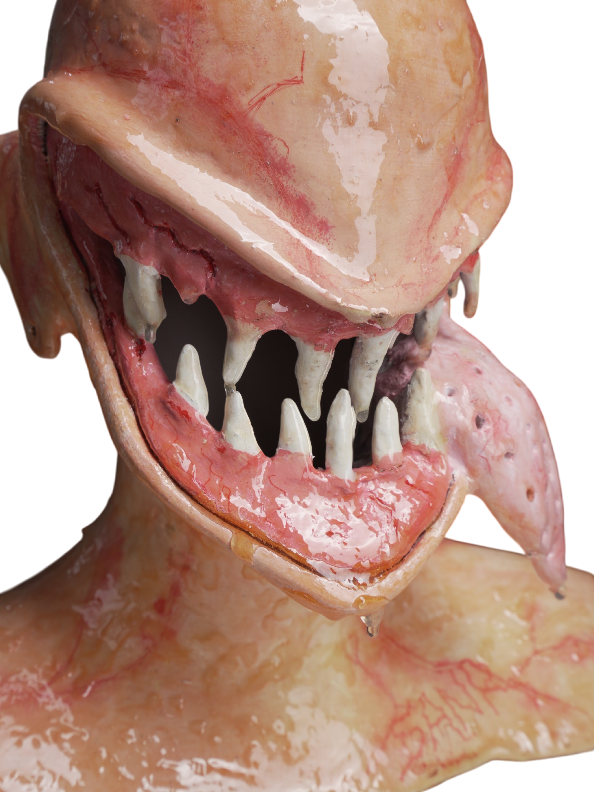 ZOMBIE ALIG
