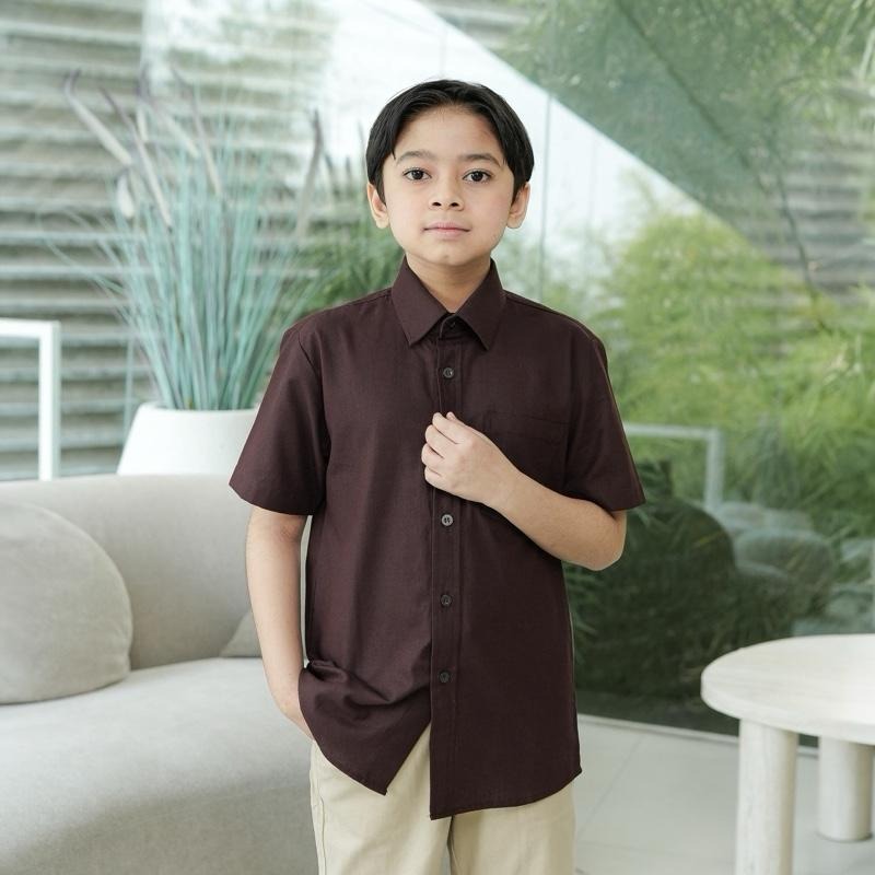 Harmoni Family Series | Warna Mahogany