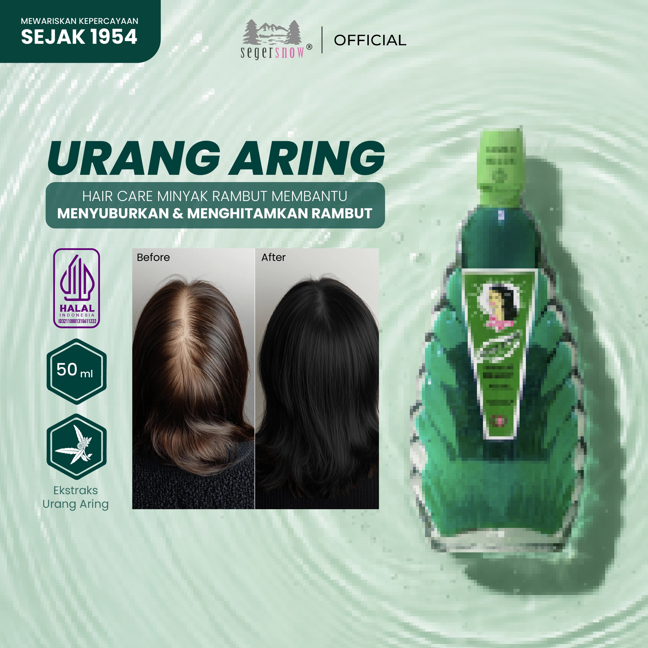 Seger Minyak Urang Aring Kerang Besar 50ml