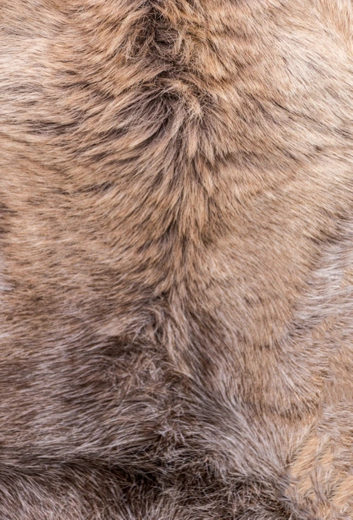 Image of Musk Ketone
