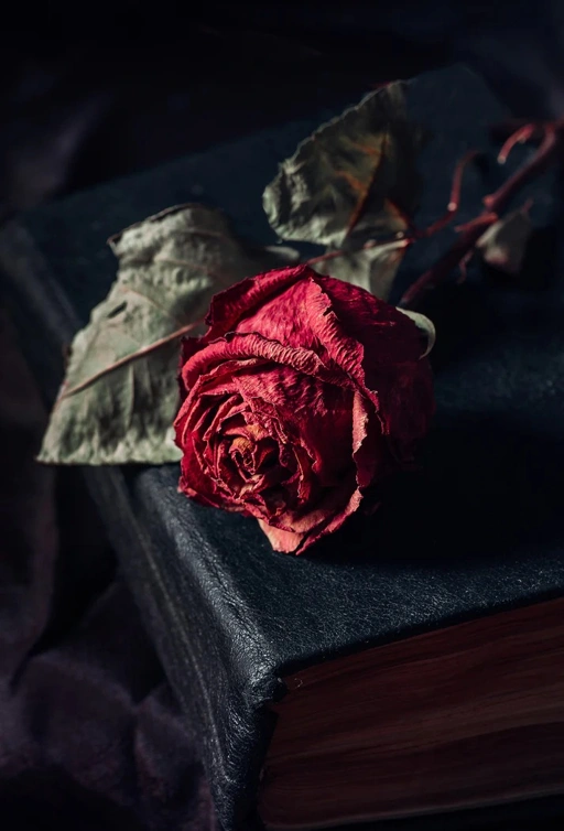 Image of Phenyl Ethyl Alcohol