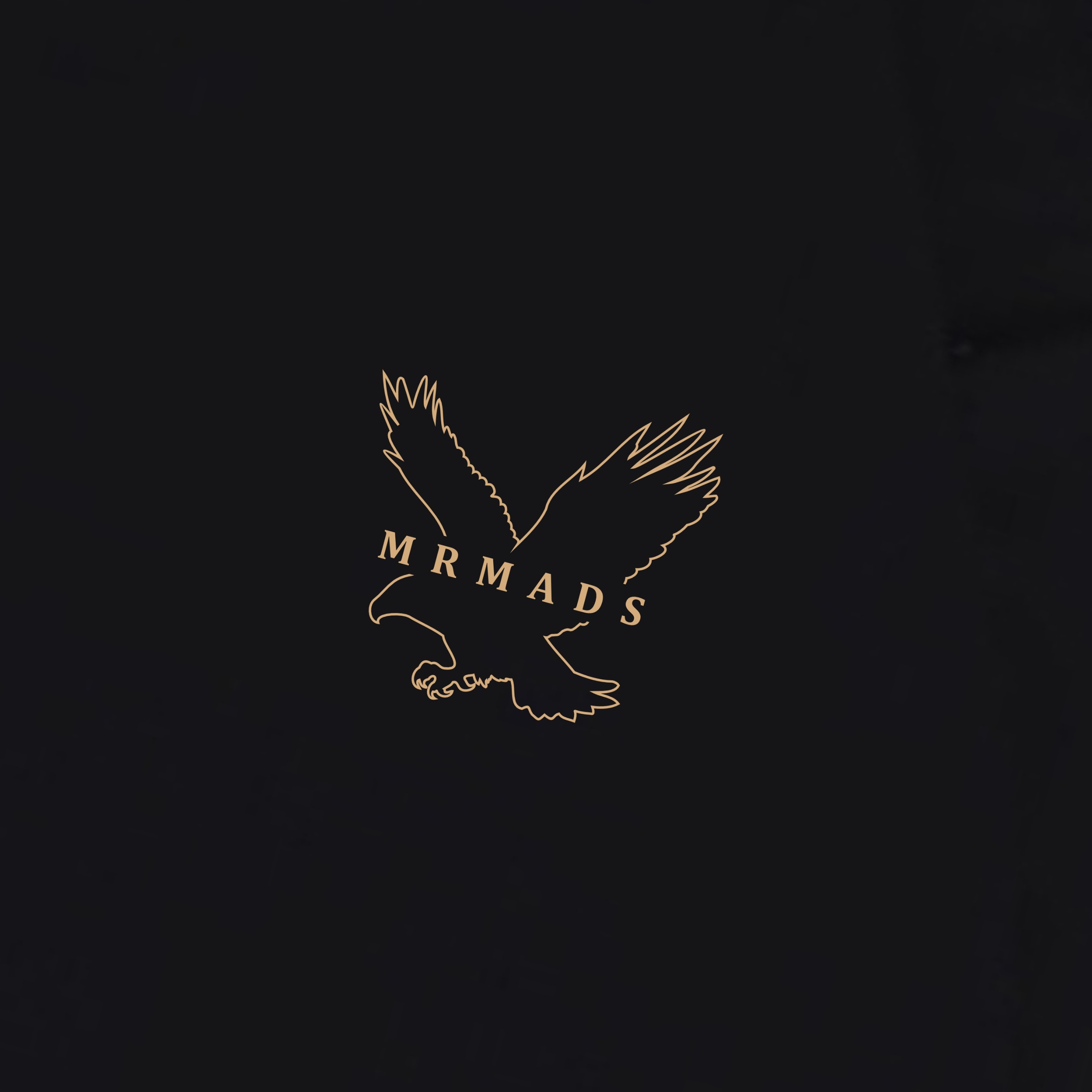 Chroneagle T-Shirt Long Sleeve