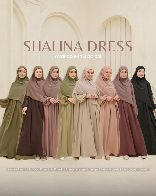 Image of SHALINA DRESS