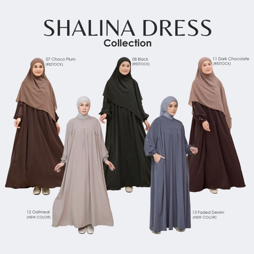 Image of SHALINA DRESS
