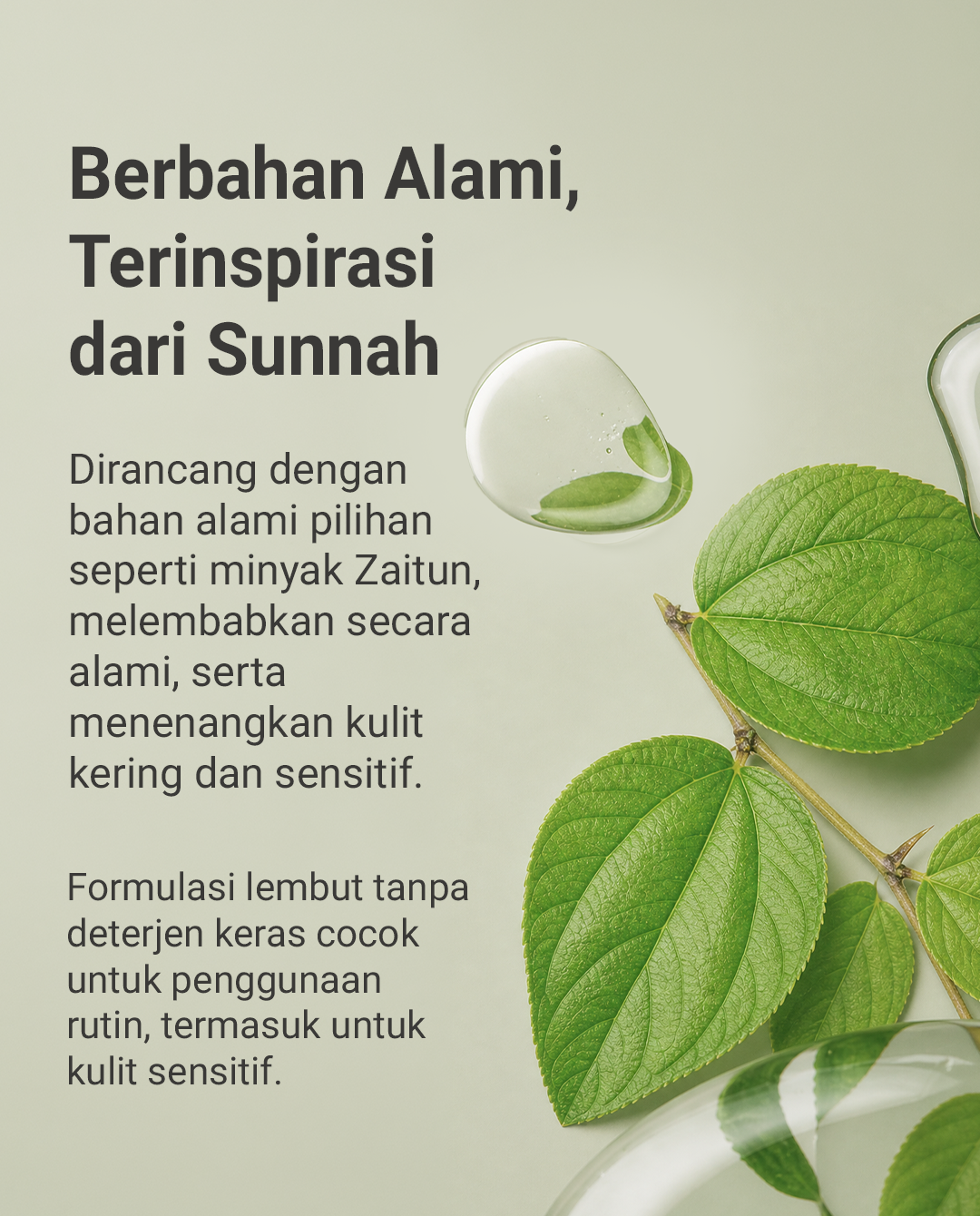 Bidara Green Tea Natural Shampoo