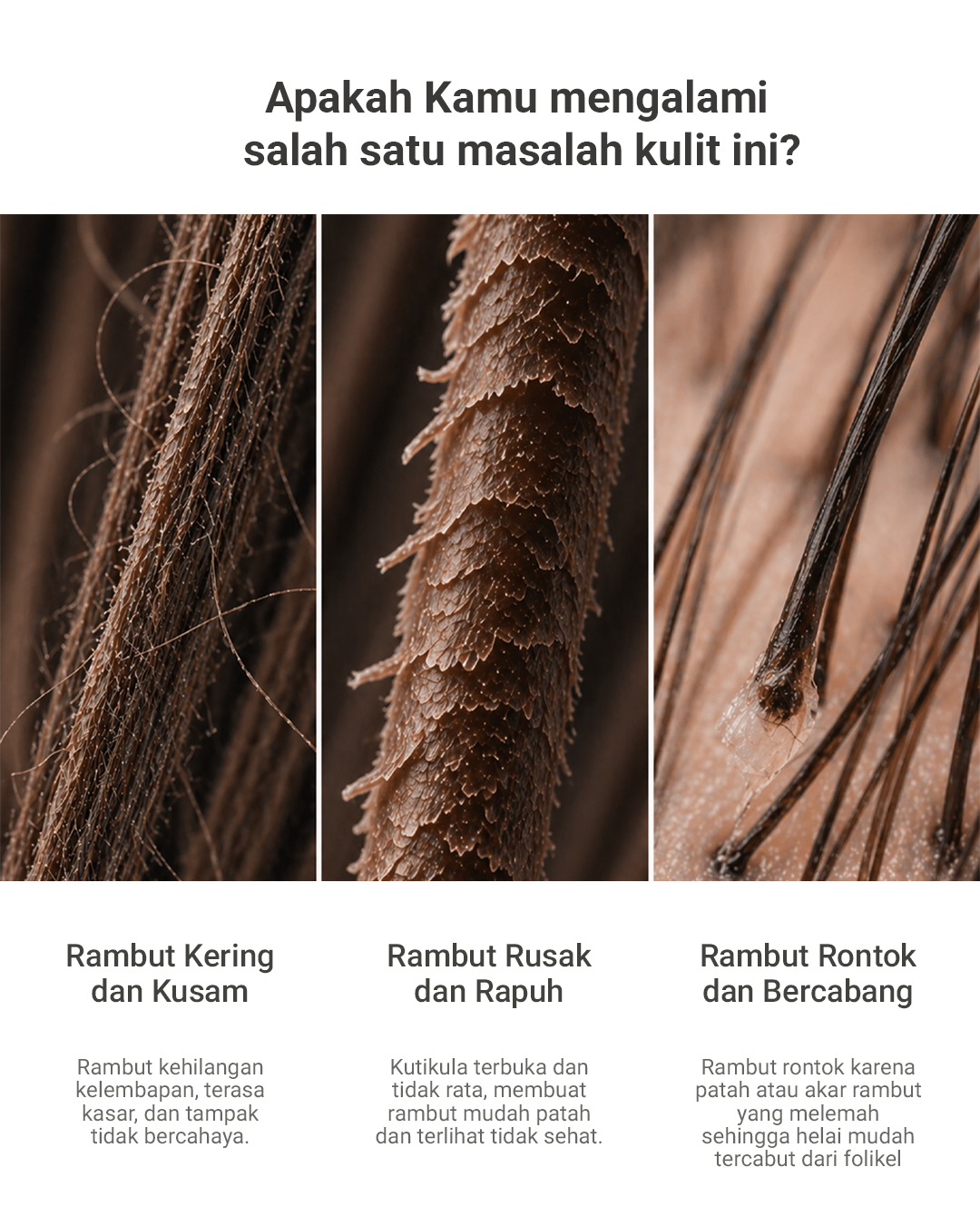 Honey Pro Natural Shampoo