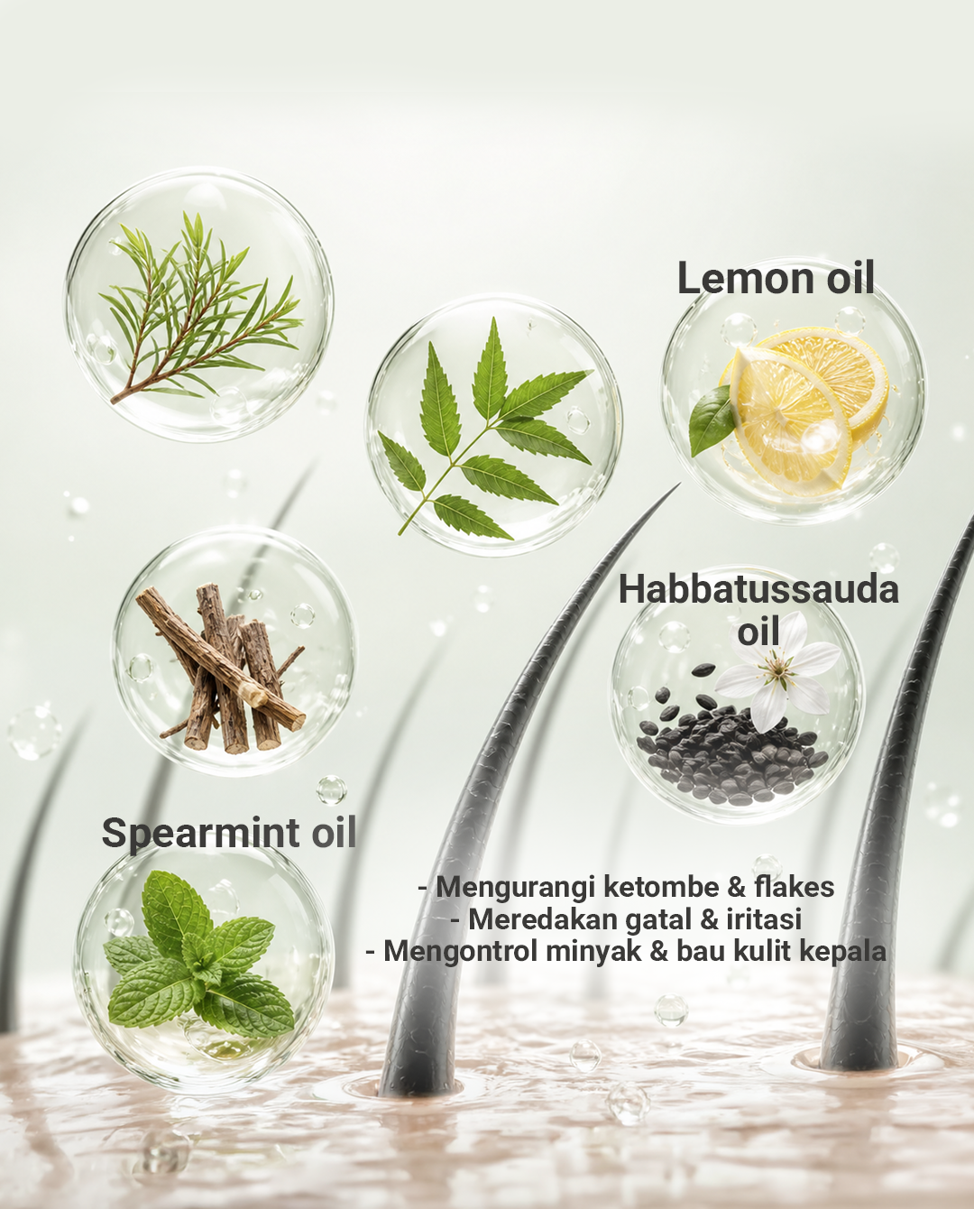 Herbal Solution Natural Shampoo