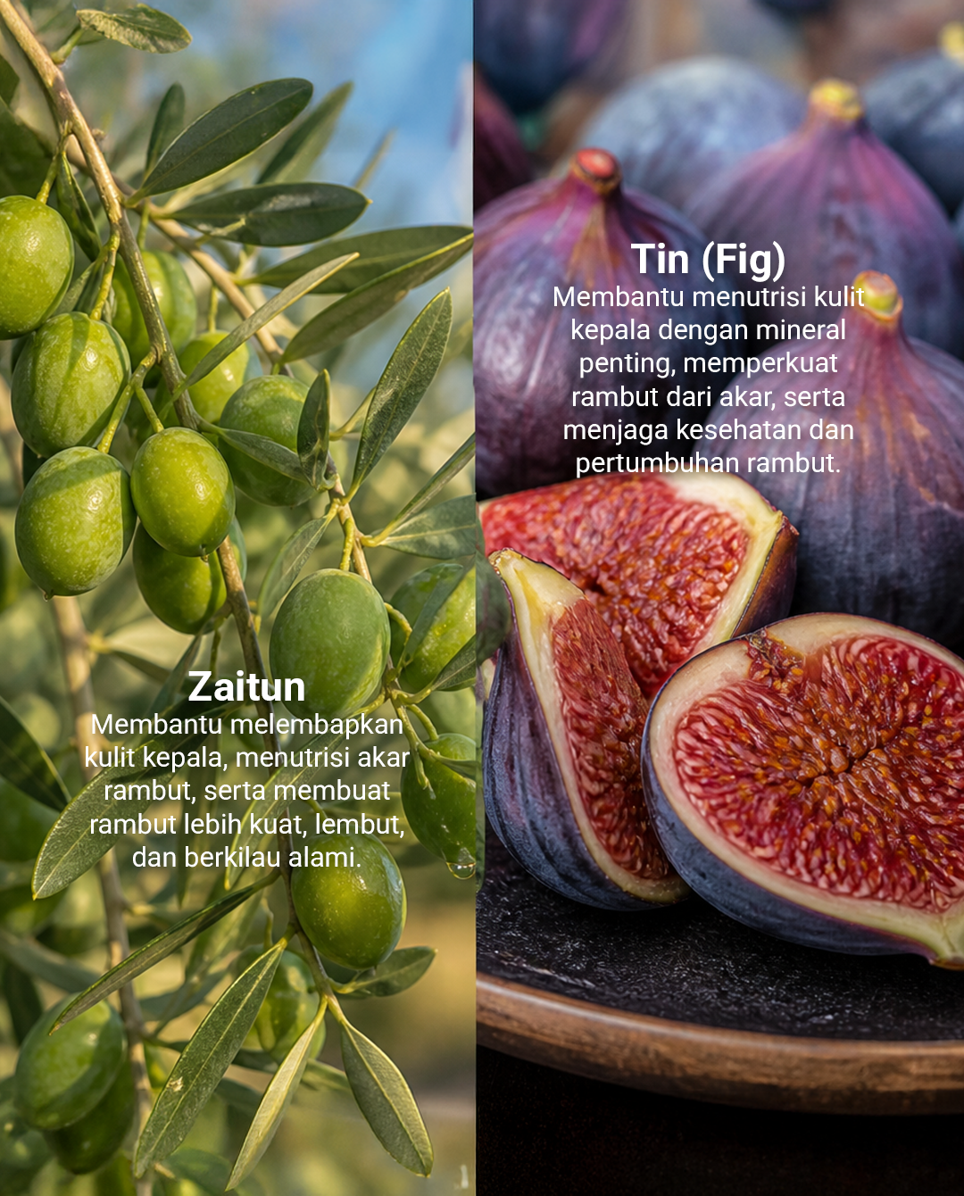 Tin and Zaytun Natural Shampoo