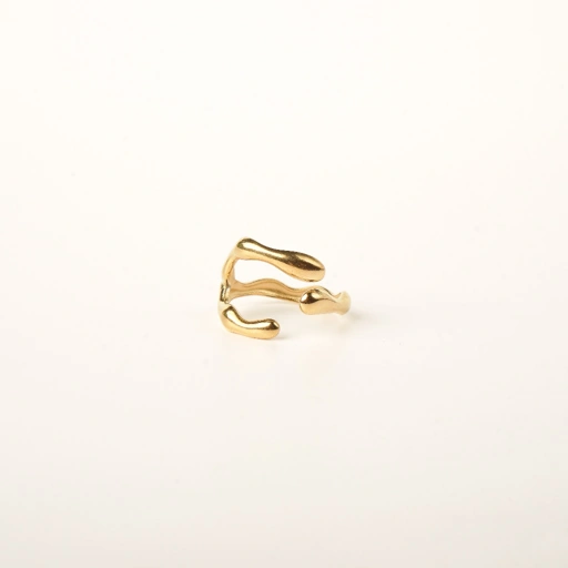 Image of Louisë // Gold Mizu Maki Ring - 18k Gold Plated Stainless Steel (Anti Karat)