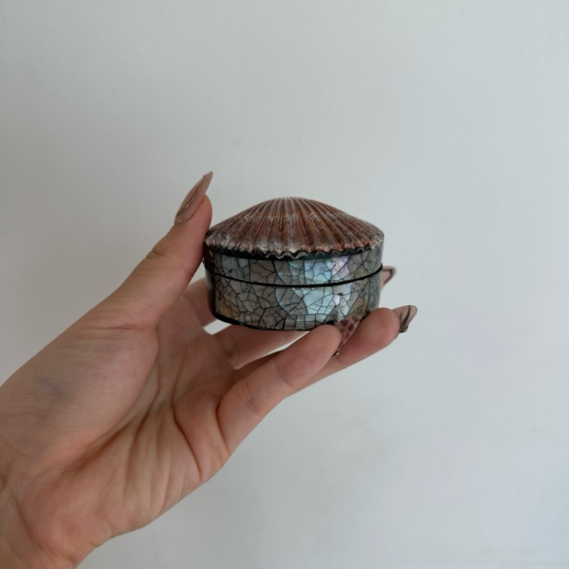 Louisë // Handmade Seashell Jewelry Box - Made from Real Seashells