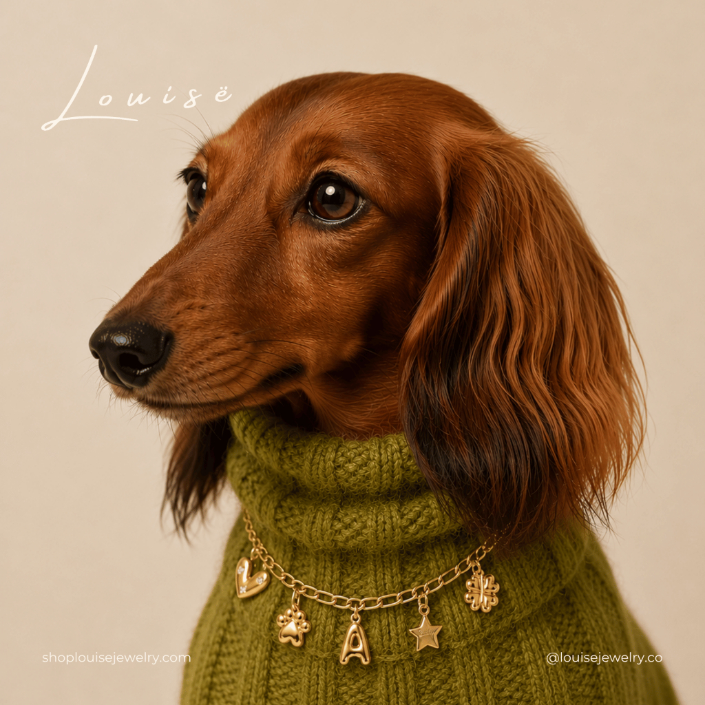 Louisë // Dog & Cat Pet Charm Necklace Collar (Chain/Base Only) – 18k Gold Plated Stainless Steel (Anti Karat)