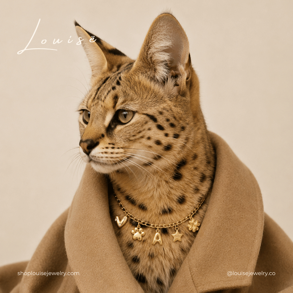 Louisë // Dog & Cat Pet Charm Necklace Collar (Chain/Base Only) – 18k Gold Plated Stainless Steel (Anti Karat)