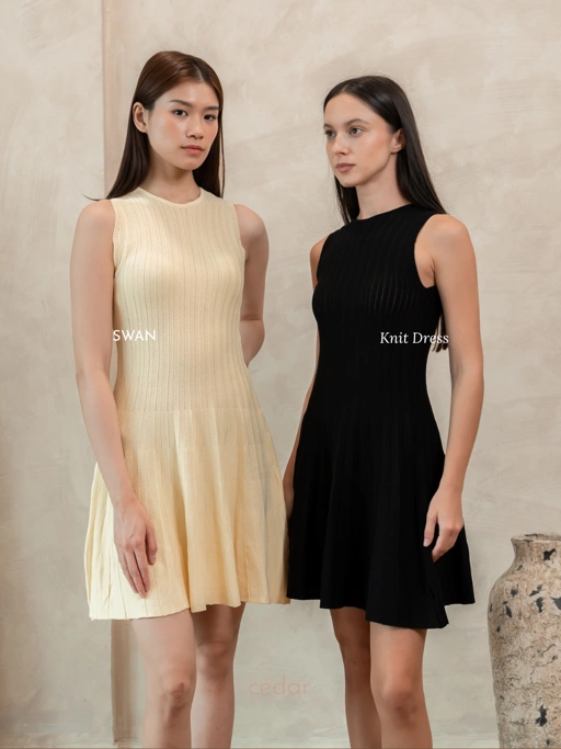 Image of Swan Knit Mini Dress