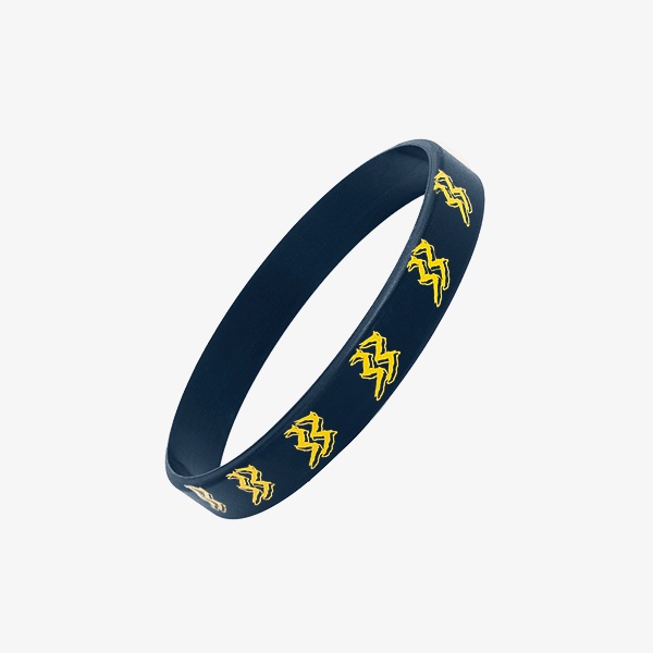 Stelsi Navy