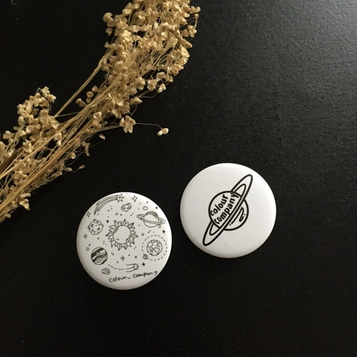 Image of PIN COMPANION OF SPACE BADGE BROS BROOCH