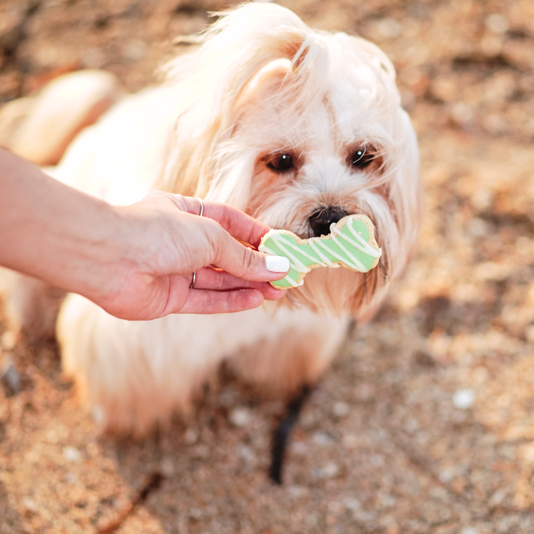 Dog Cookies