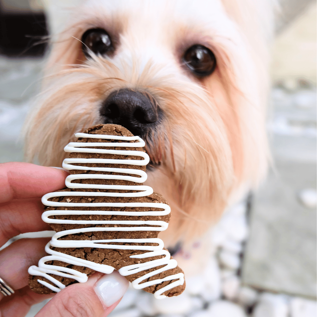 Halloween: Mummy Dog Cookie