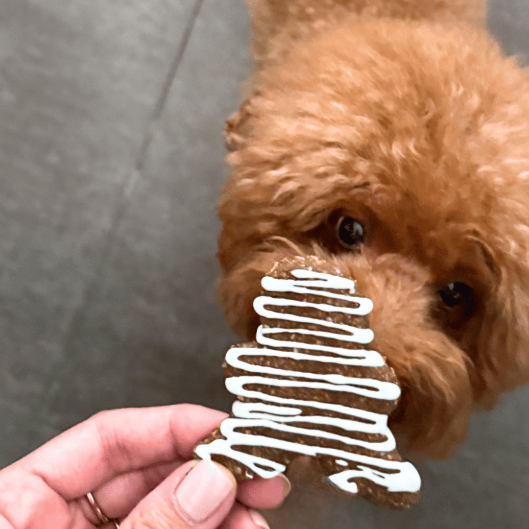 Halloween: Mummy Dog Cookie