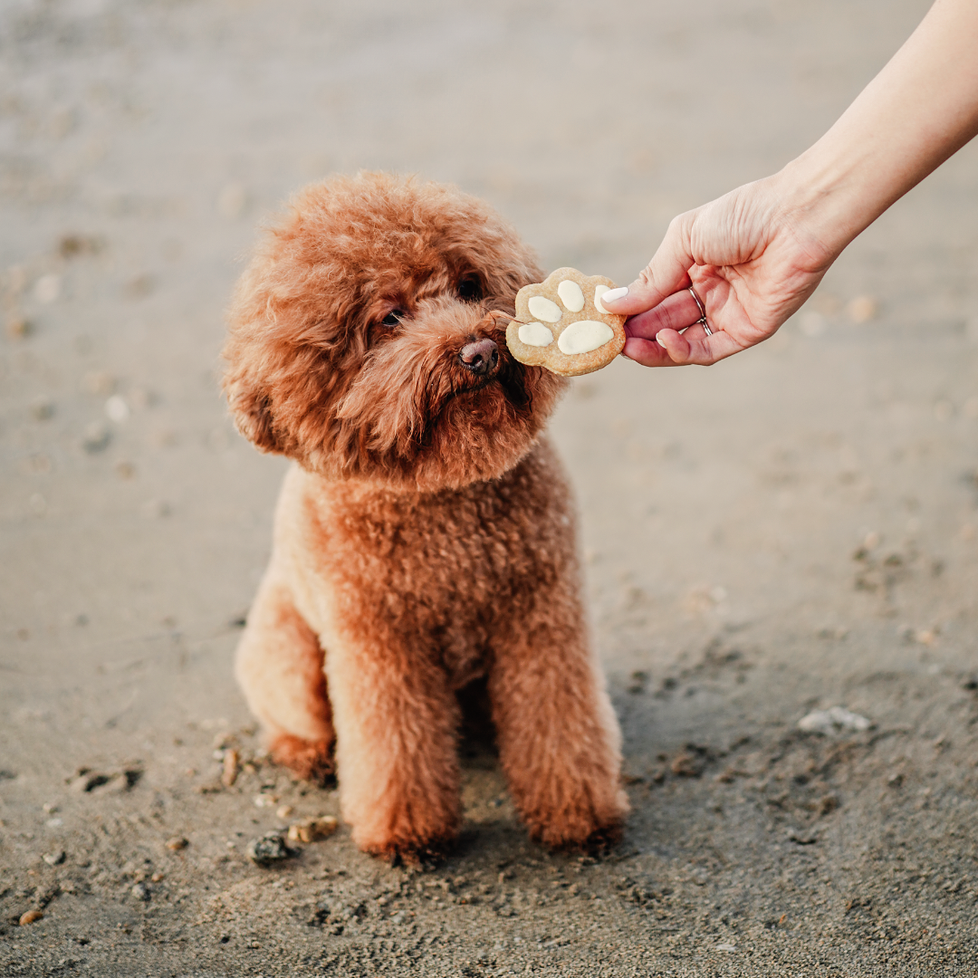 Dog Cookies