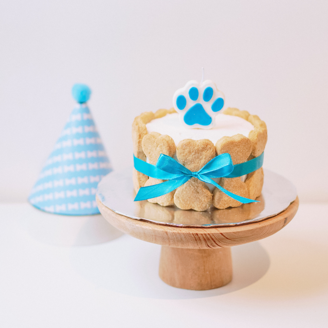 Barkday Cake - Round