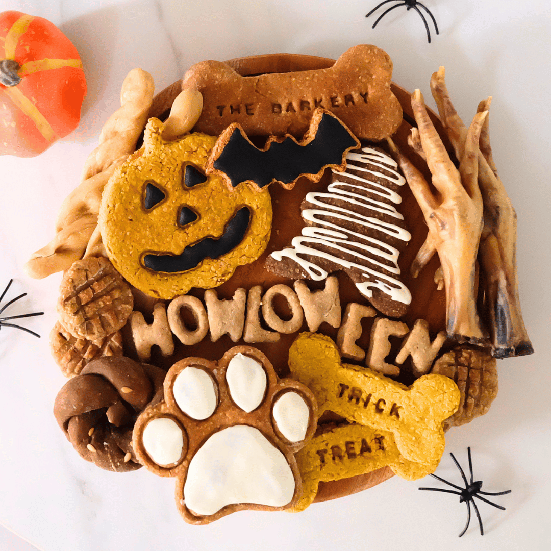Halloween: Howl-o-ween Barkuterie Box
