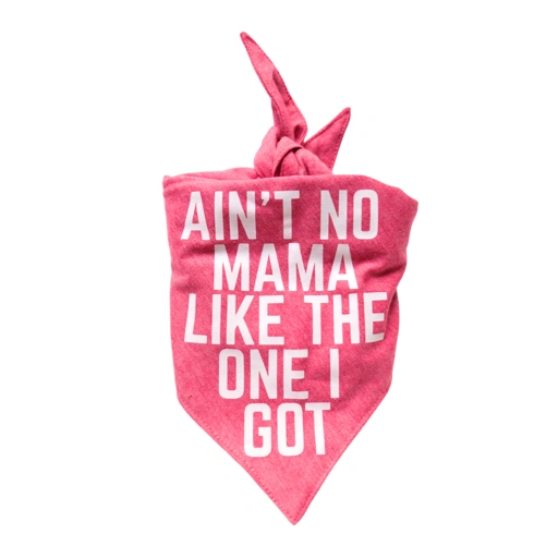Image of Bandana - Ain't No Mama Like The One I Got
