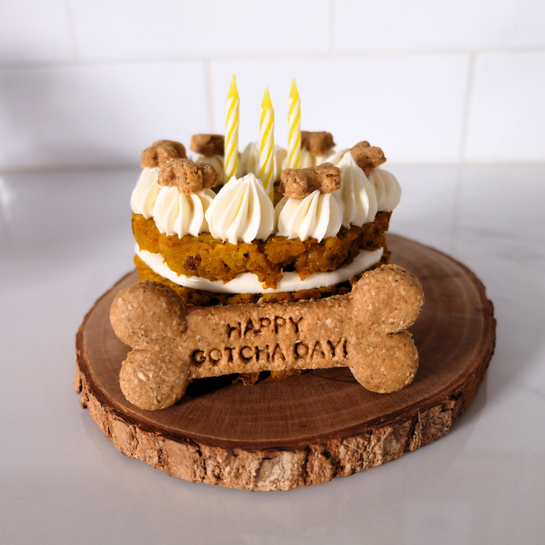 Classic Mini Dog Cake