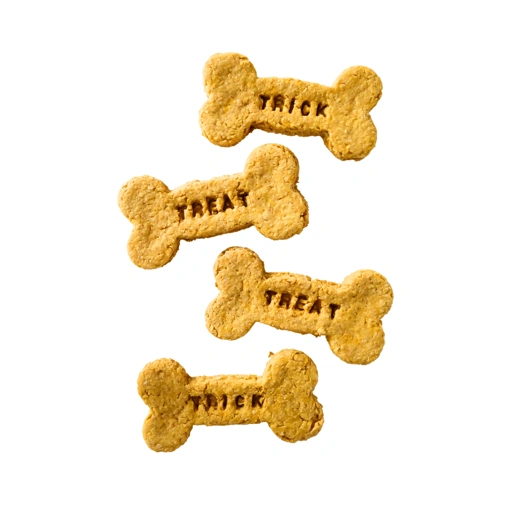 Halloween: Trick or Treat
