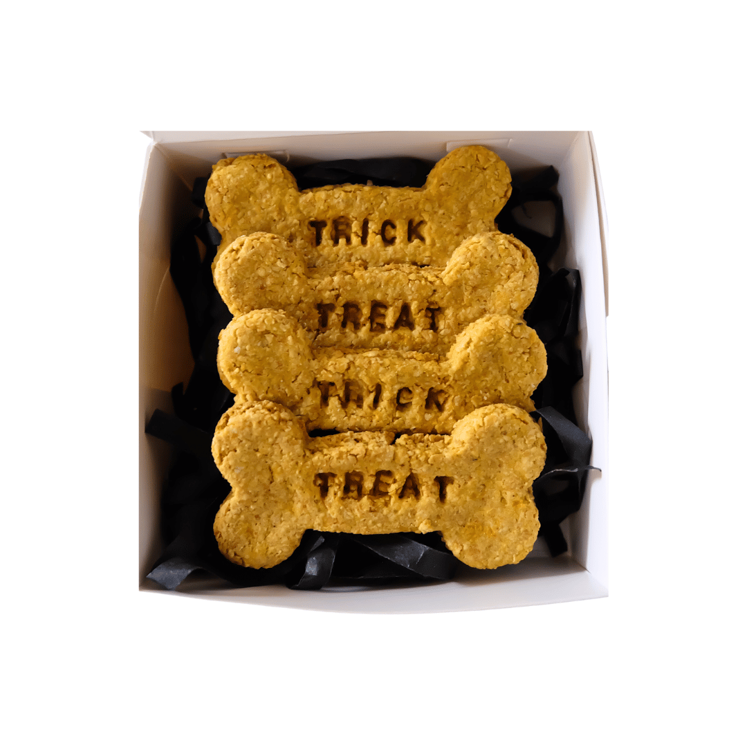 Halloween: Trick or Treat