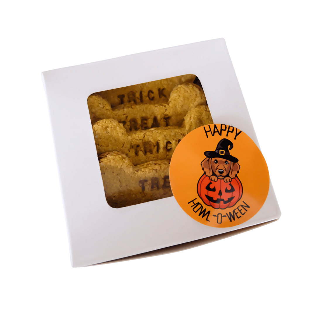 Halloween: Trick or Treat