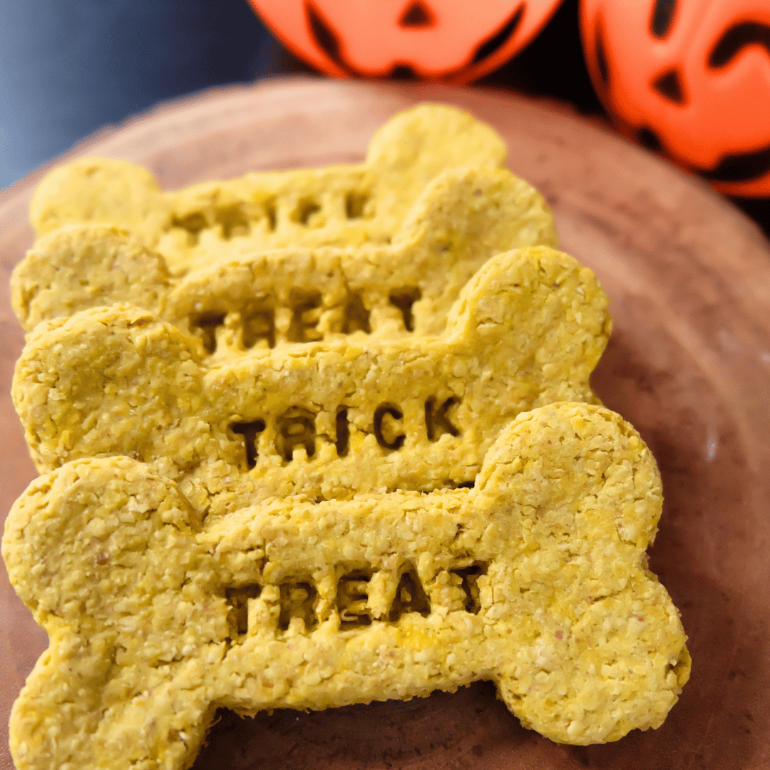 Halloween: Trick or Treat