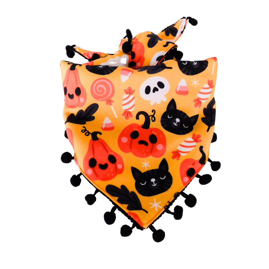 Halloween: Dog Bandana - Halloween Fun