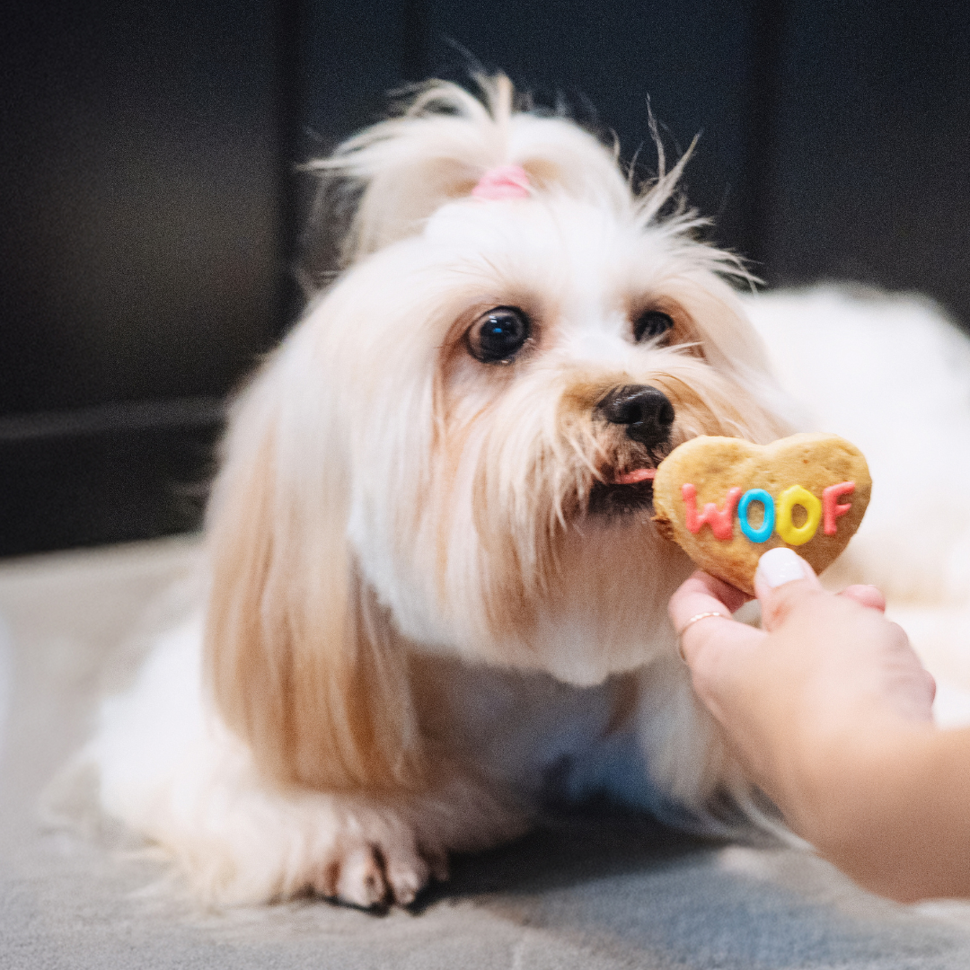 Dog Cookies