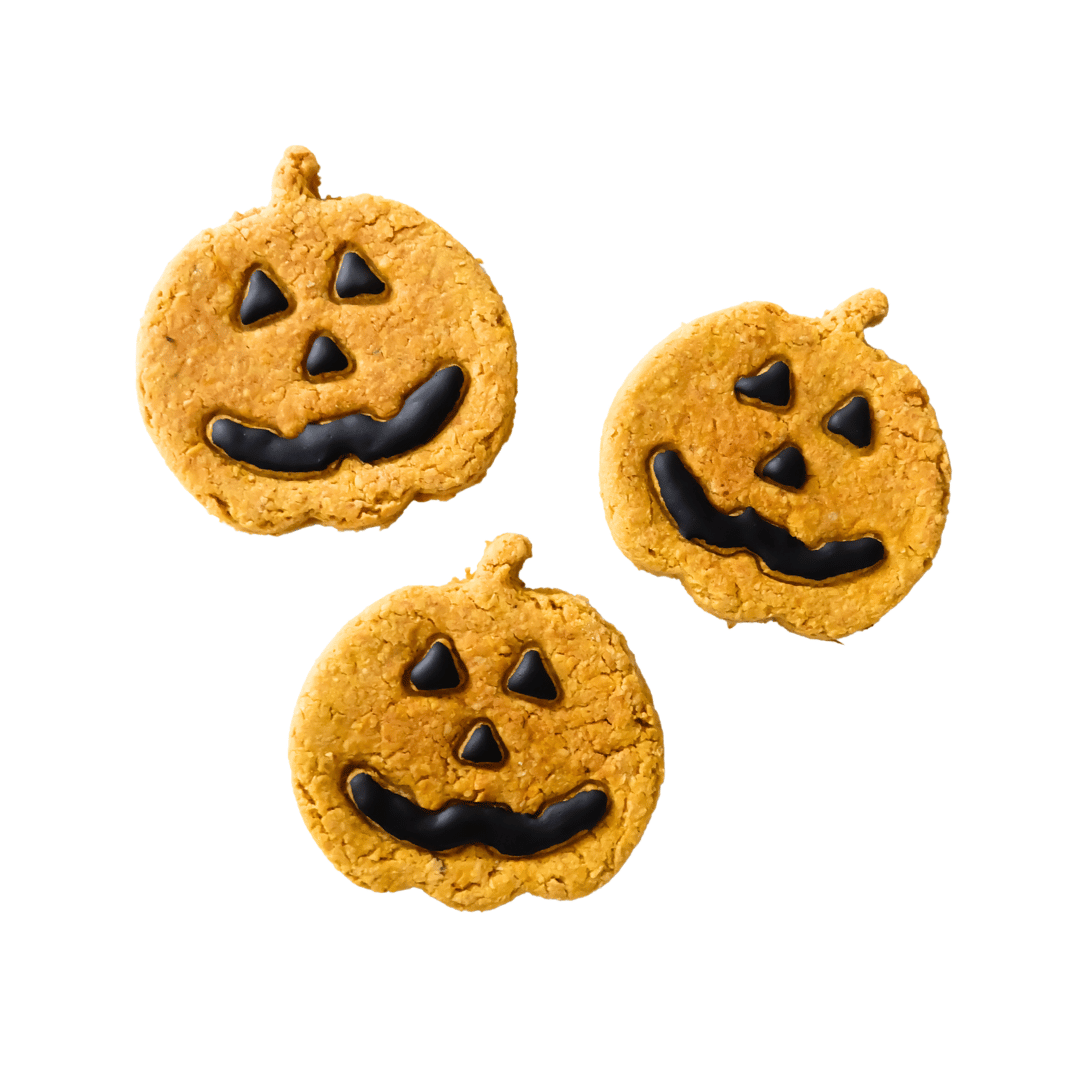 Halloween: Jack-O-Lantern Dog Cookie