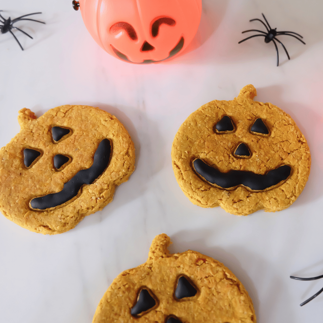 Halloween: Jack-O-Lantern Dog Cookie