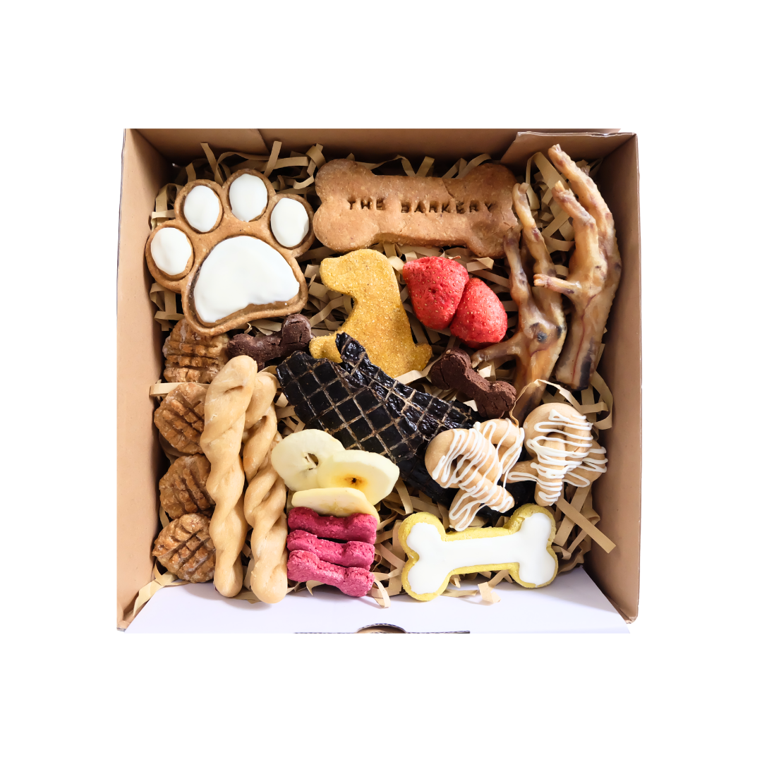 Barkuterie Box (Charcuterie for Dogs)