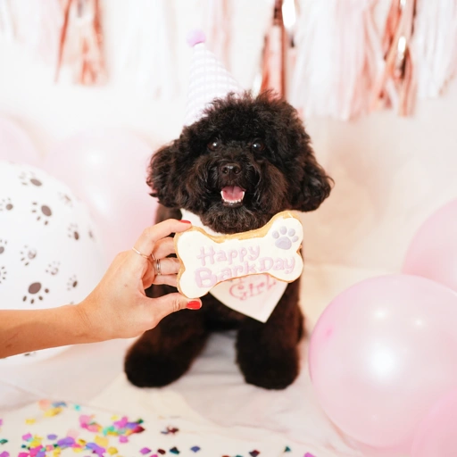 Image of Pawty Package