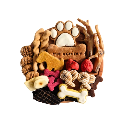 Barkuterie Box (Charcuterie for Dogs)