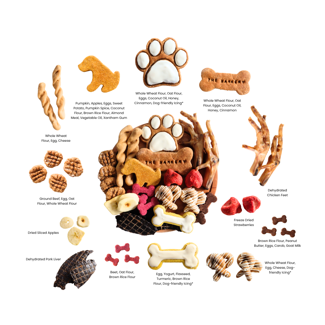 Barkuterie Box (Charcuterie for Dogs)