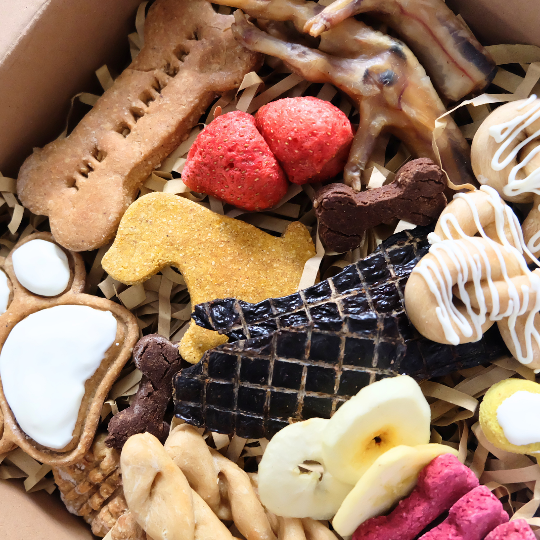 Barkuterie Box (Charcuterie for Dogs)